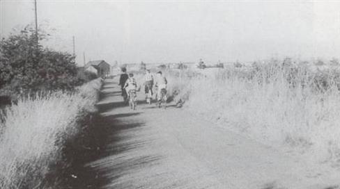 picture of Sherwoods Lane 1950